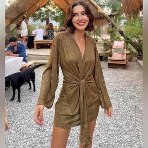 NWT Zara Jacquard Dress